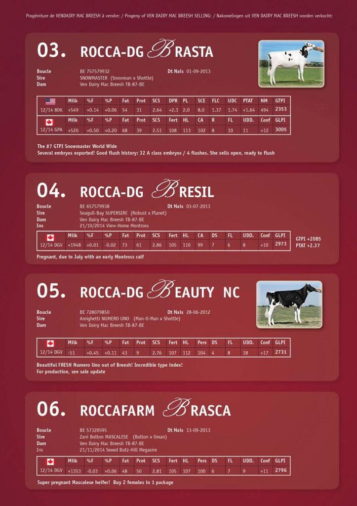 Datasheet for SOLD: Rocca-DG Brasta