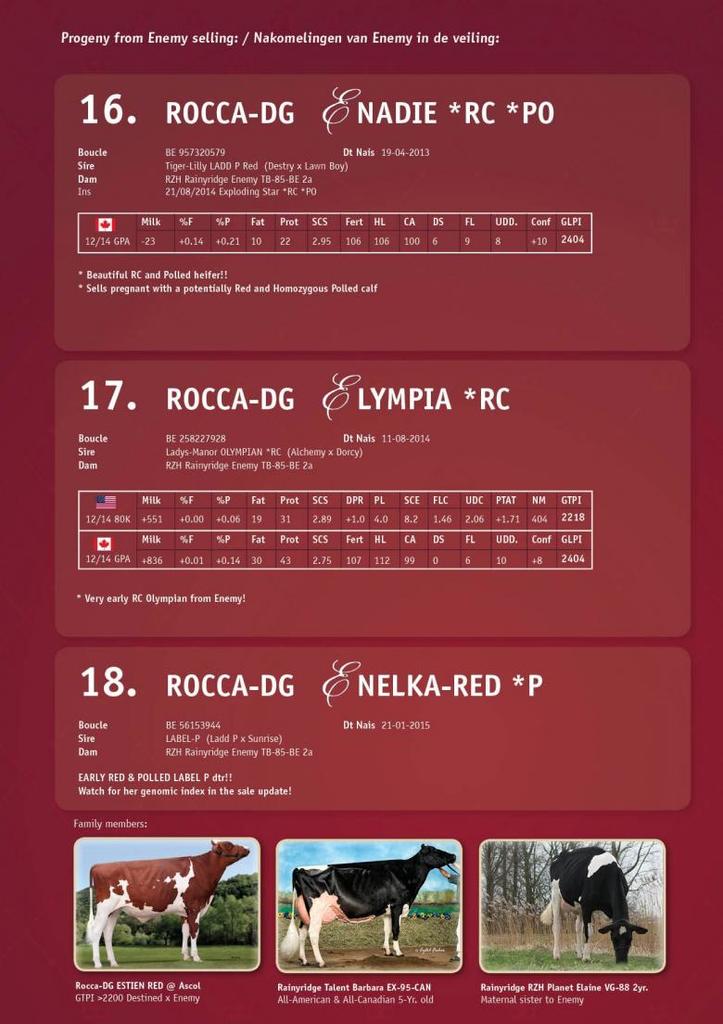 Datasheet for SOLD: Rocca-DG Elympia *RC